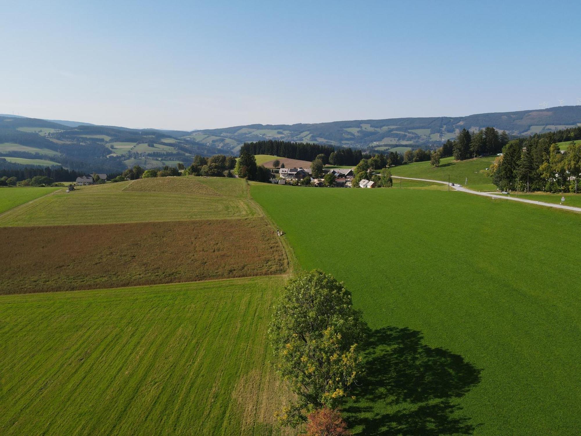 Biohof Kroisleitner Sankt Jakob im Walde Exterior foto