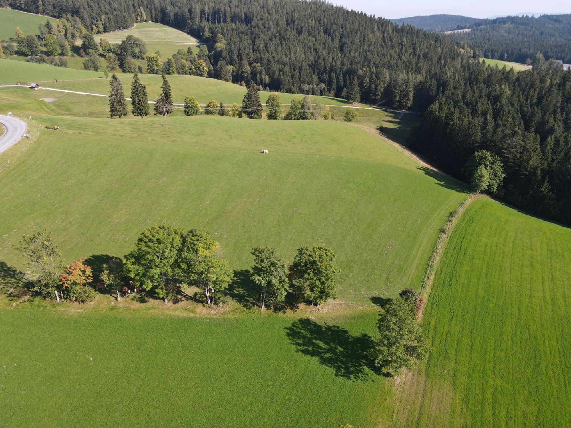 Biohof Kroisleitner Sankt Jakob im Walde Exterior foto