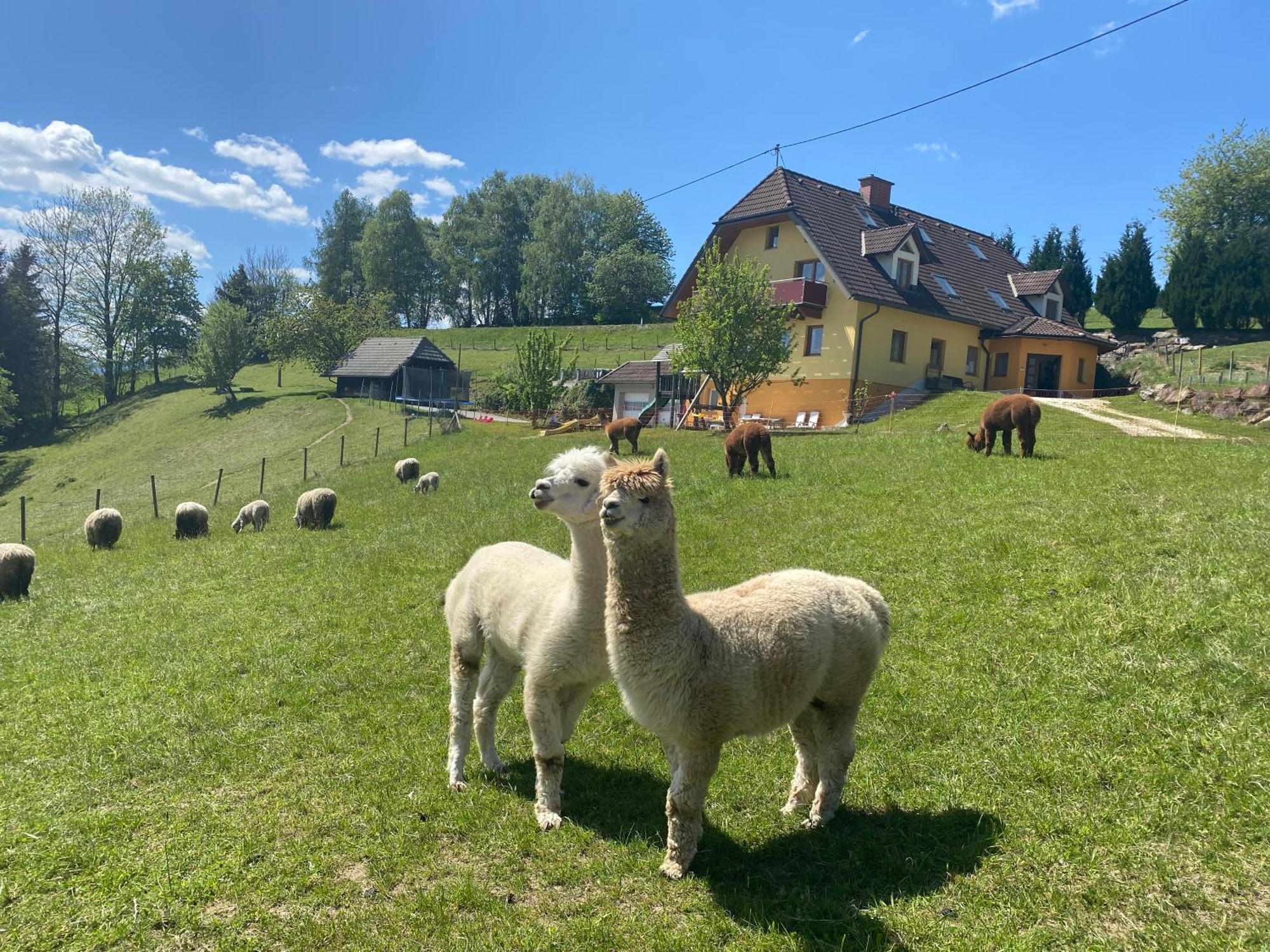Biohof Kroisleitner Sankt Jakob im Walde Exterior foto